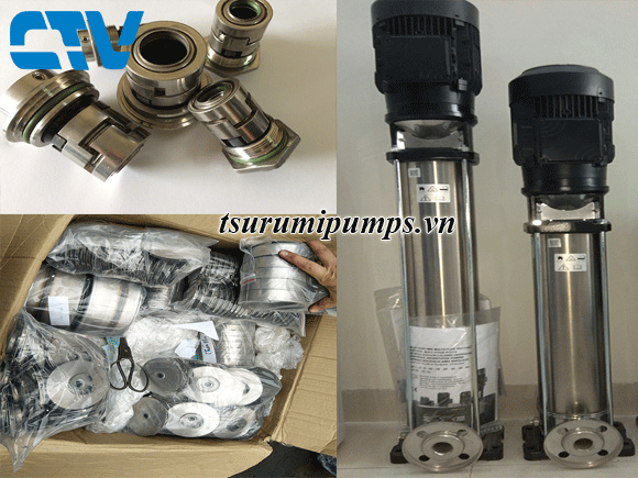 Phụ kiện máy bơm trục đứng