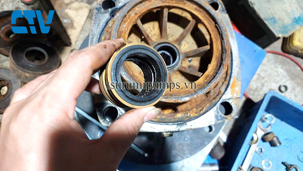 Công ty thay phớt máy bơm nước uy tín, chất lượng tốt nhất