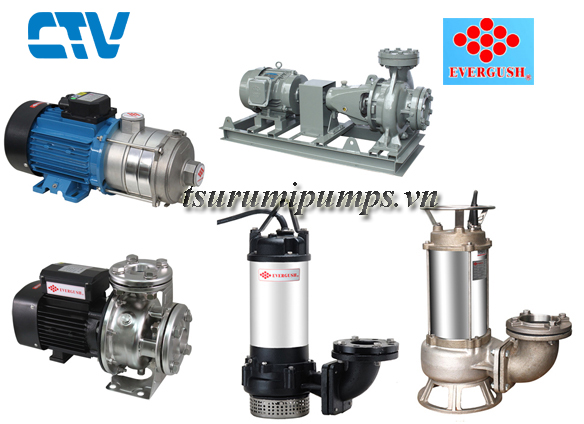 Địa chỉ sửa máy bơm nước thải Evergush hàng đầu tại Miền Bắc