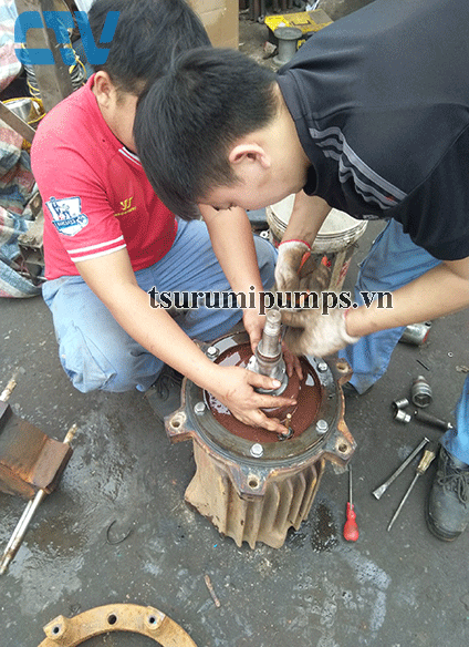 Sửa máy bơm nước - Thay phớt máy bơm chìm nước thải