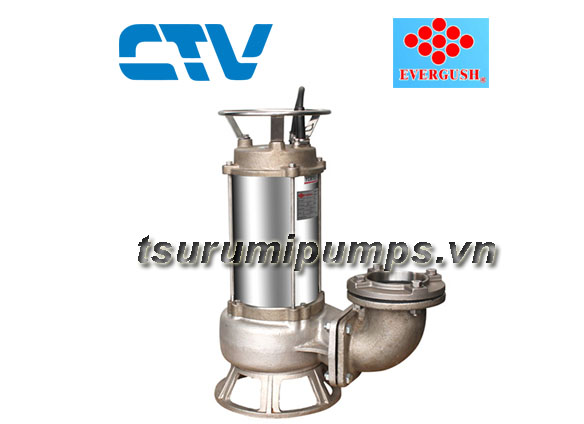 Máy bơm bùn đặt chìm Evergush EFS