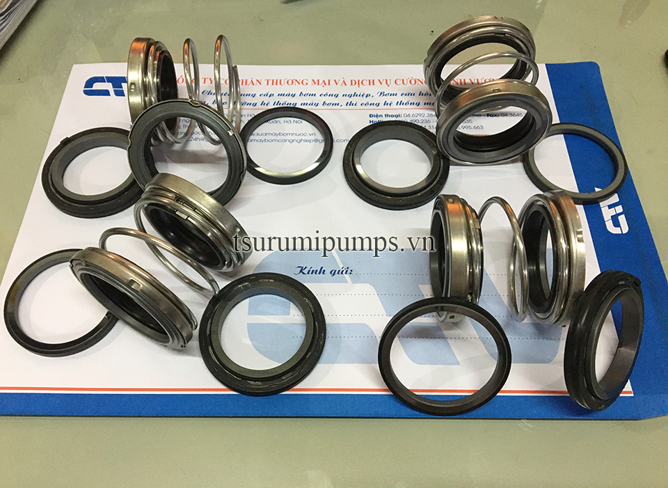 Phớt máy bơm chìm Ebara DML type 560DE